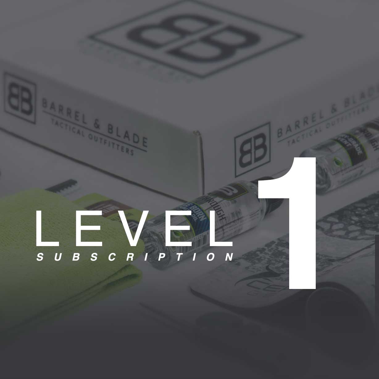 Level 1